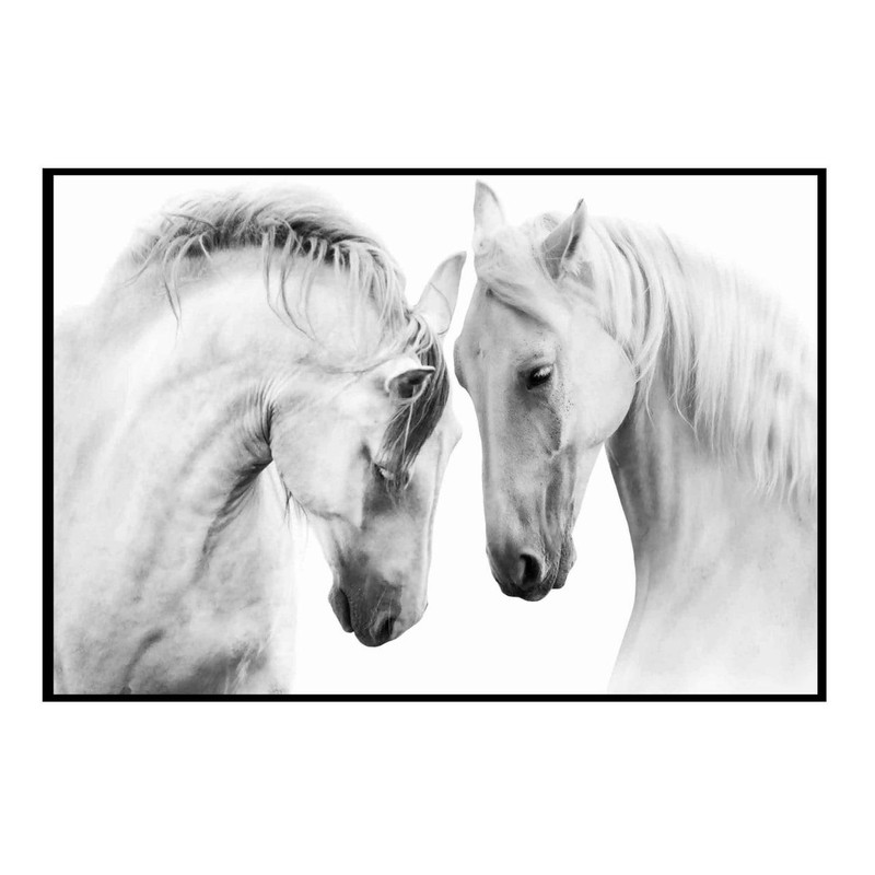 تابلو شاسی مدل 2 اسب رو در رو B32 | دنیای قاب