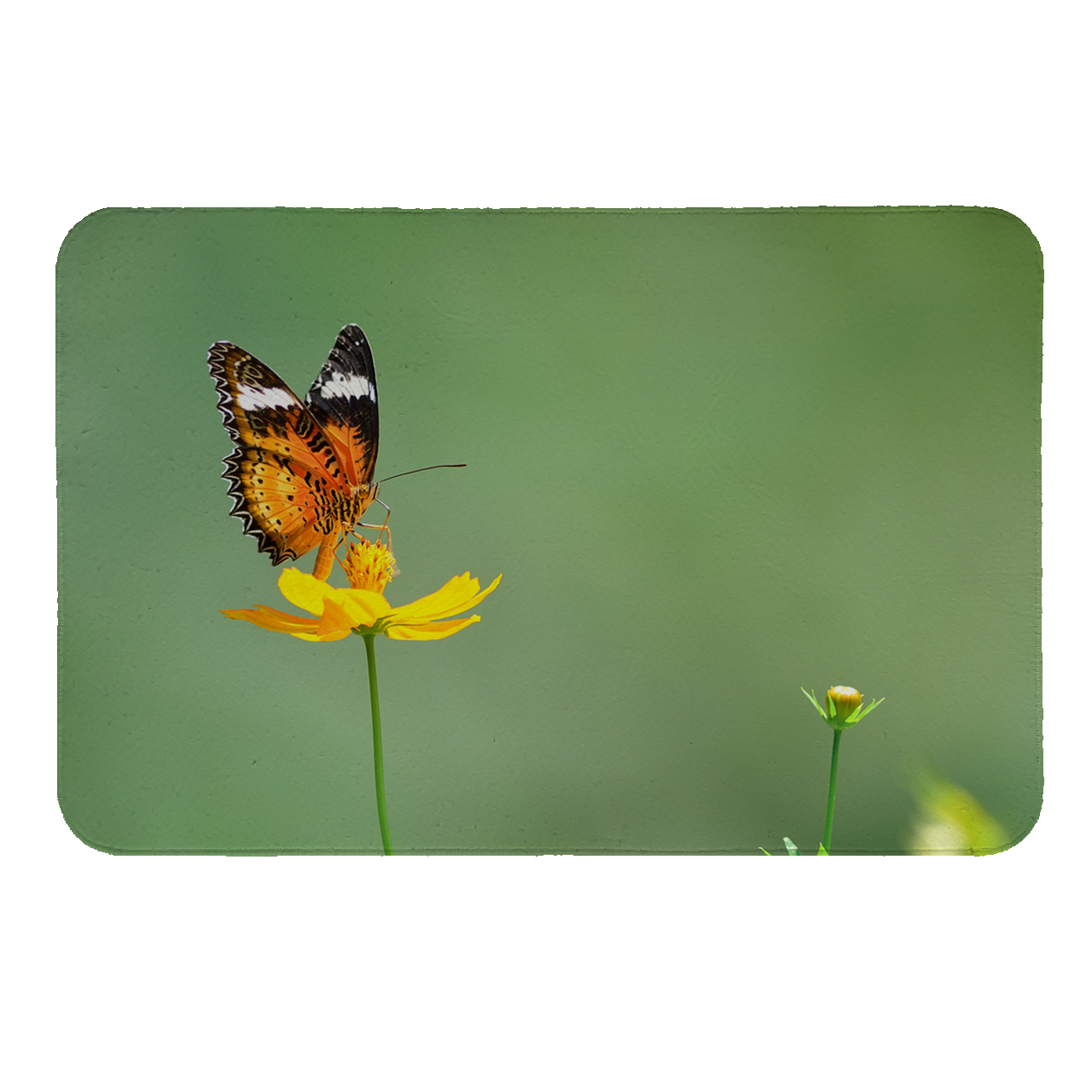 زیرقابلمه ای طرح پروانه کد 5568