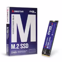 حافظه SSD بایوستار Biostar M760 256GB M2