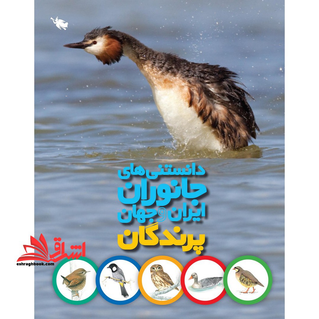 دانستنی های جانوران ایران و جهان (پرندگان) ، (گلاسه) - فروشگاه کتاب اشراق