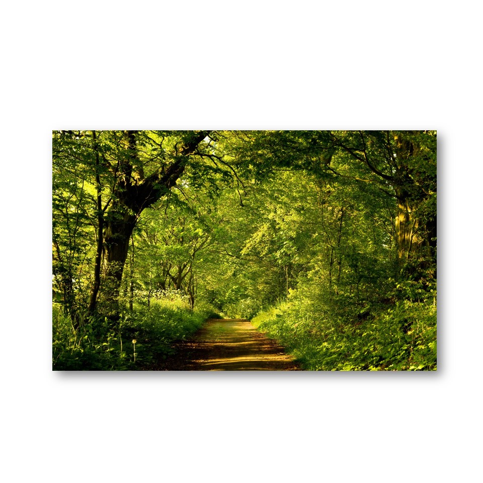 تابلو شاسی مدل طبیعت کد 28