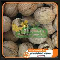 گردو آذربایجان فدک (1کیلو)