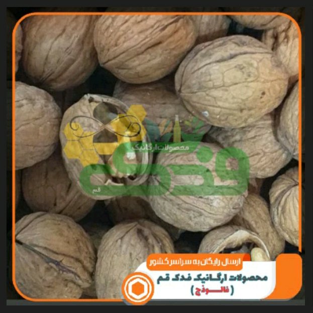 گردو آذربایجان فدک (1کیلو)