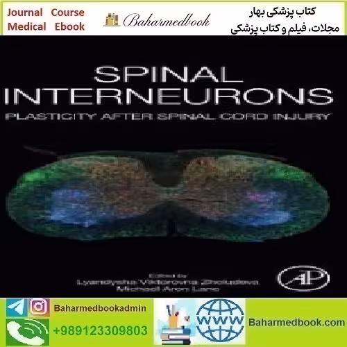 Spinal Interneurons Plasticity after Spinal Cord Injury 2023 TRUE P