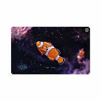 برچسب پوششی ماهوت مدل Clownfish مناسب برای تبلت سامسونگ Galaxy Tab A 10.1 2019 T515