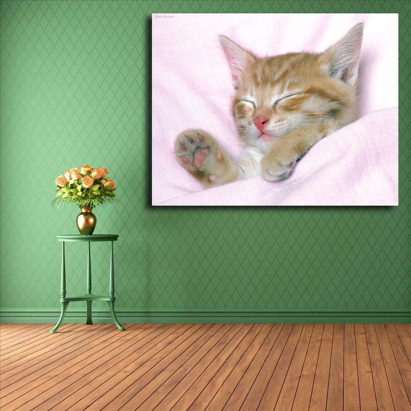 تابلو شاسی مدل گربه کد 27 | دنیای قاب