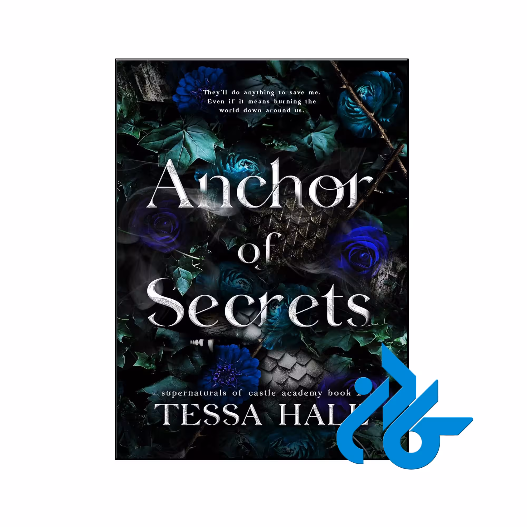 خرید و قیمت کتاب Anchor of Secrets از فروشگاه کادن