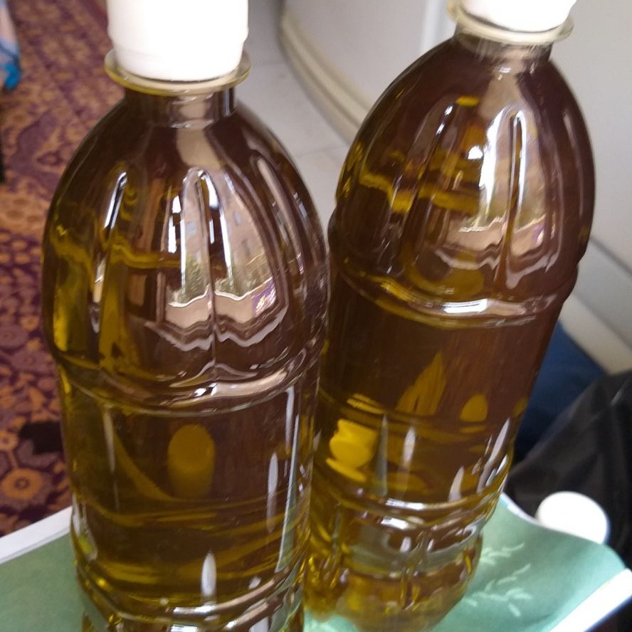 روغن زیتون کوهی اصل رودبار