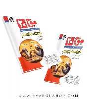 کتاب موج 20 بیست فیزیک دوازدهم ریاضی نشر الگو