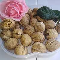 گردو پوست کاغذی محلی ایران درجه 1 تضمین کیفیت برداشت شهریورماه 1403