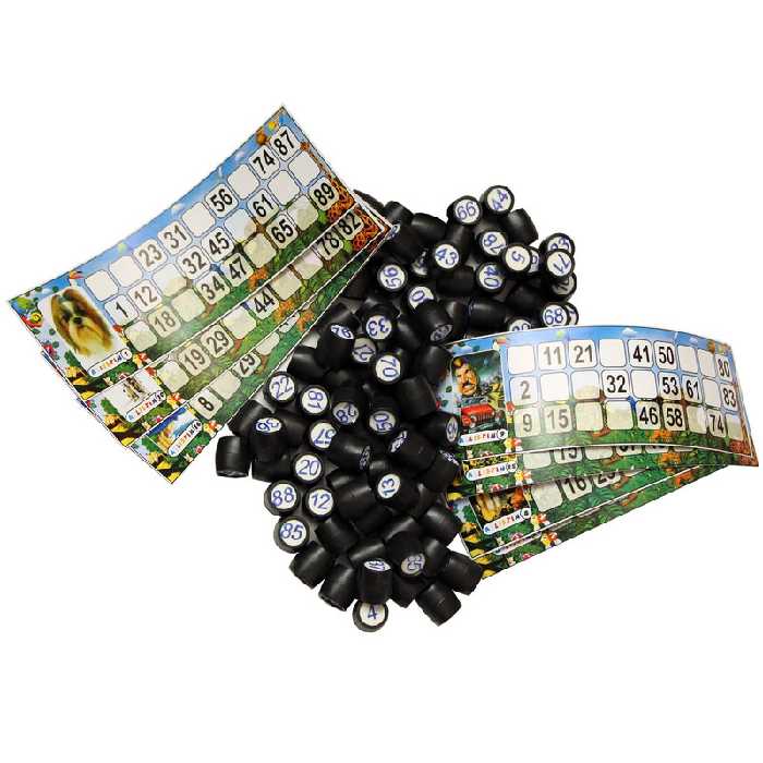 بازی فکری دبرنا مدل az158 | چاوه