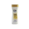 شامپو ایپک مدل Oil Treasure حجم 600 میلی لیتر