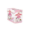پوچ گربه رویال کنین مدل Kitten وزن 85 گرم بسته 12 عددی
