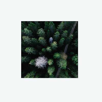 تابلو شاسی مدل 0101 مجموعه 4 عددی