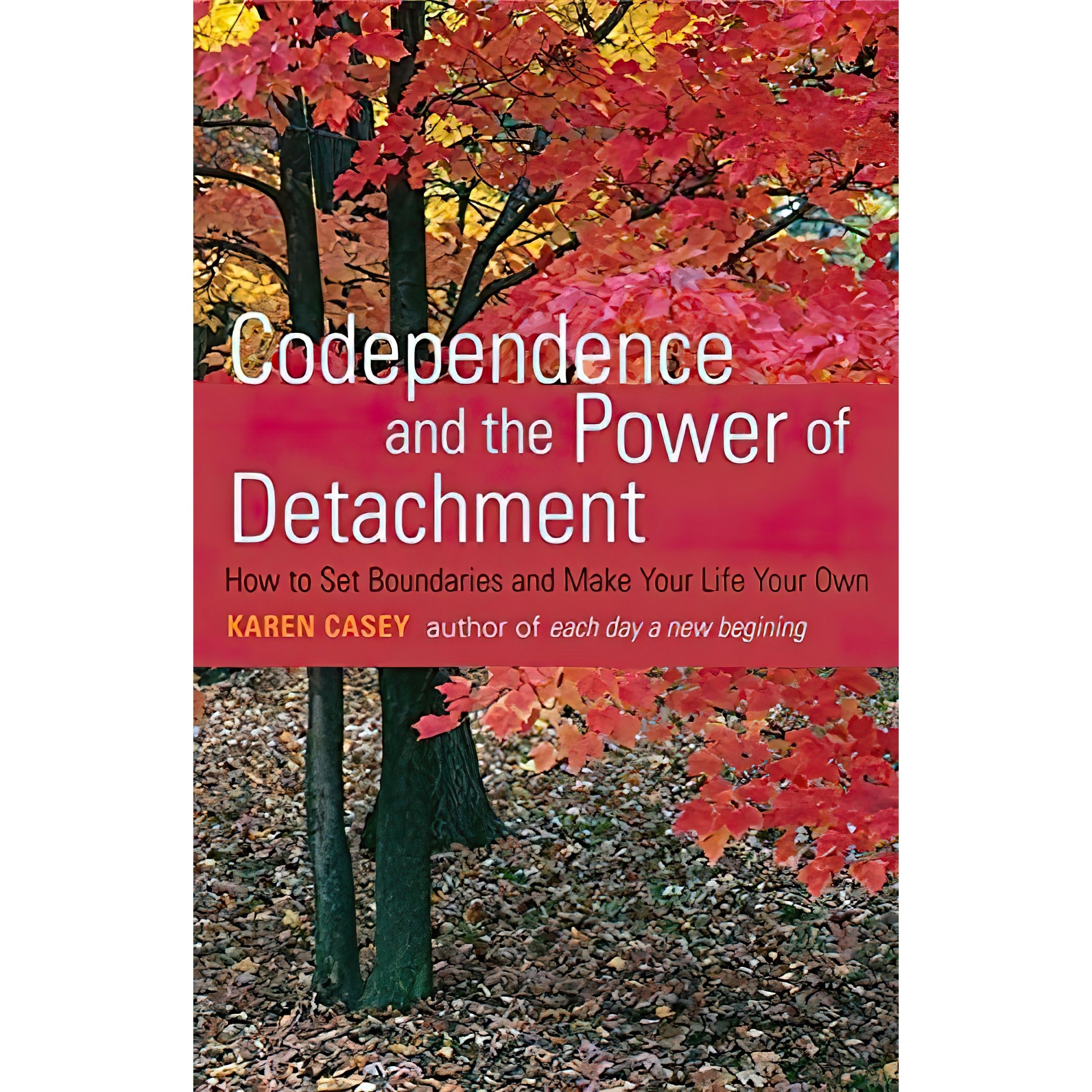 کتاب زبان اصلی Codependence and the Power of Detachment اثر Karen Casey