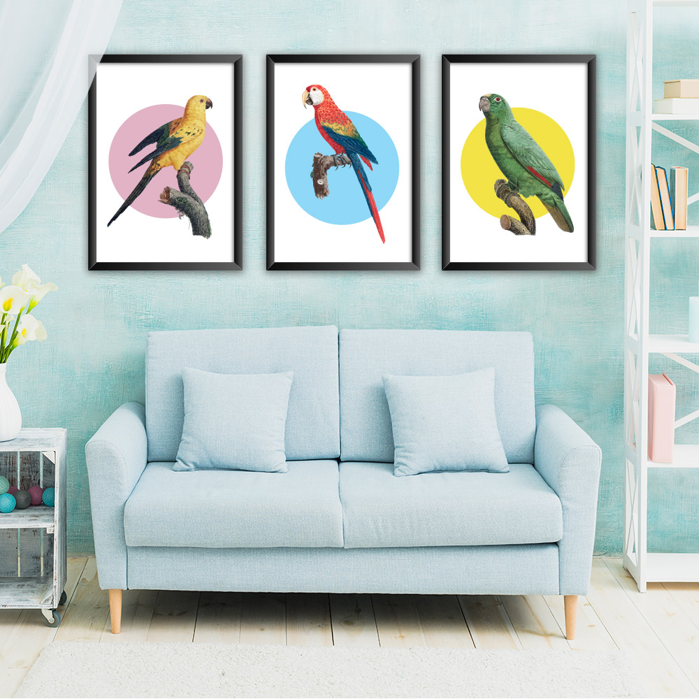 تابلو کد P002-Parrot مجموعه 3 عددی