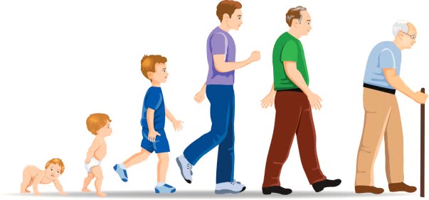 تحقیق رشد و تكامل ذهني