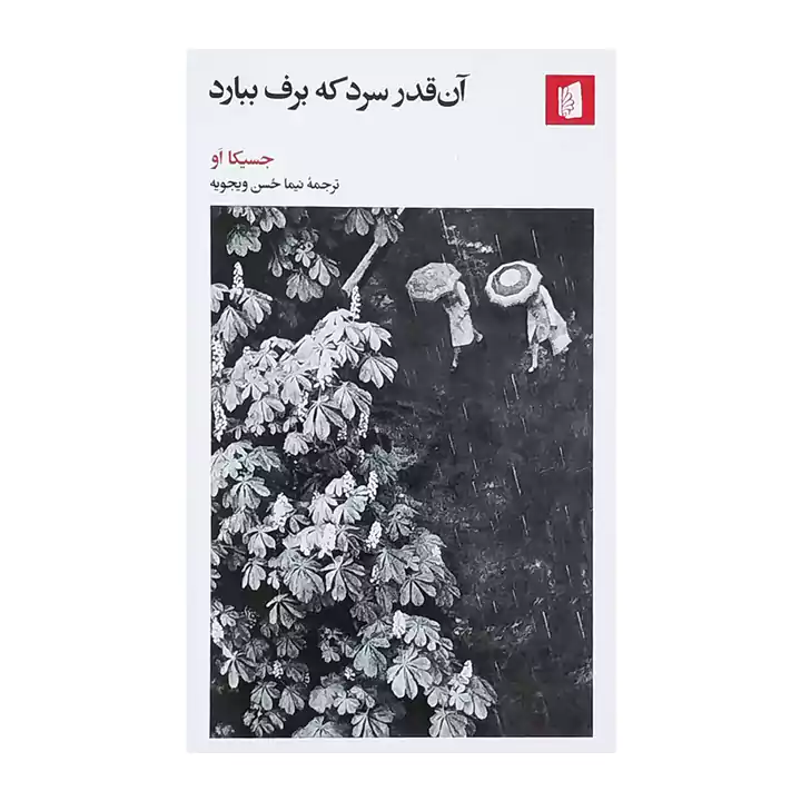 کتاب آن قدر سرد که برف ببارد