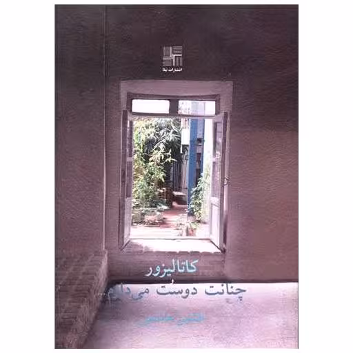 کتاب کاتالیزور چنانت دوست می دارم (جیبی) اثر افشین هاشمی
