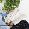 کتاب قدرت و جلال اثر گراهام گرین نشر چشمه