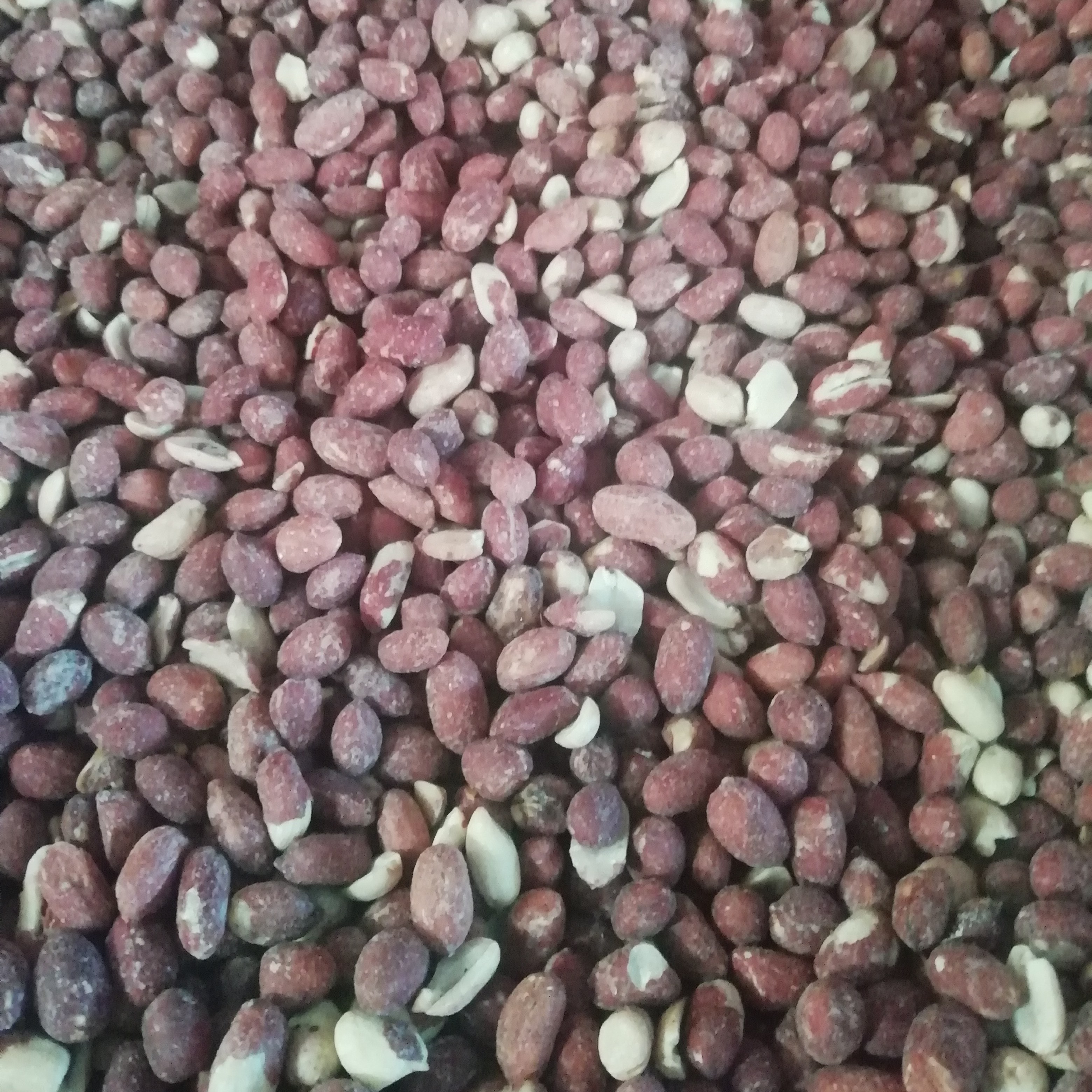 مغز زمینی تنوری نمکی سیر تفت به صورت جزعی و کلی