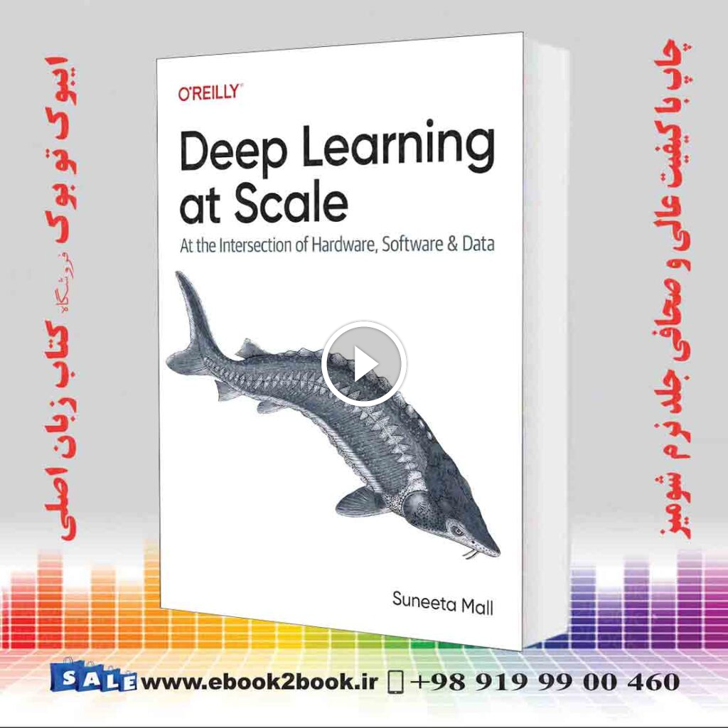 Deep Learning at Scale: At the Intersection of Hardware, Software