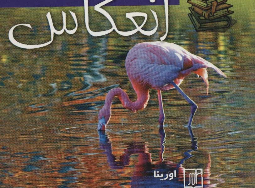 انعکاس (2زبانه)