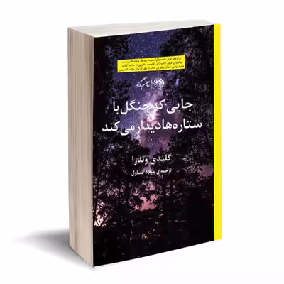 کتاب جایی که جنگل با ستاره ها دیدار میکند اثر گلندی وندرا نشر روزگار