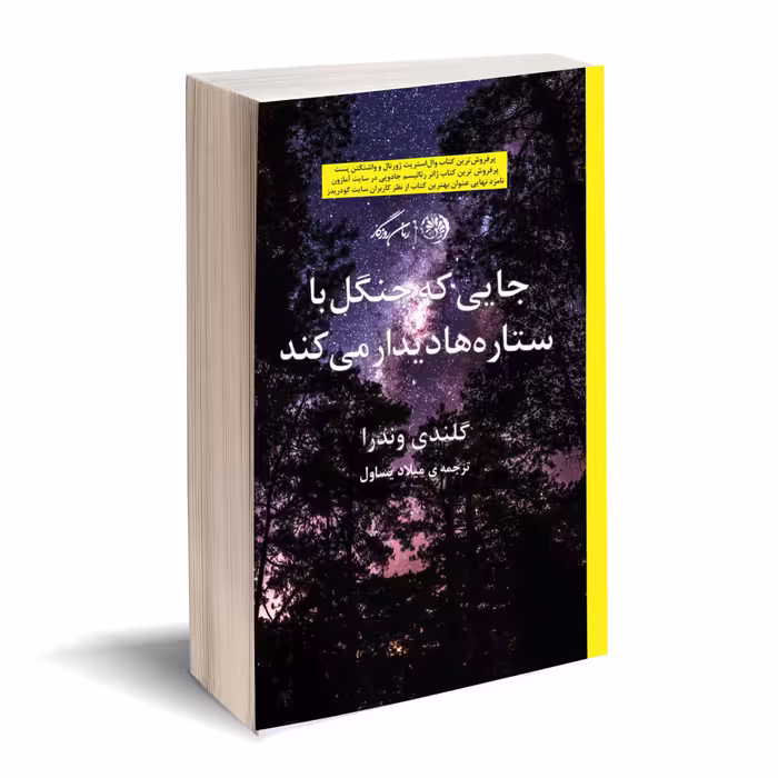 کتاب جایی که جنگل با ستاره ها دیدار میکند اثر گلندی وندرا نشر روزگار