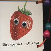 فلش کارت چشمی توت فرنگی (دستگیره دار)