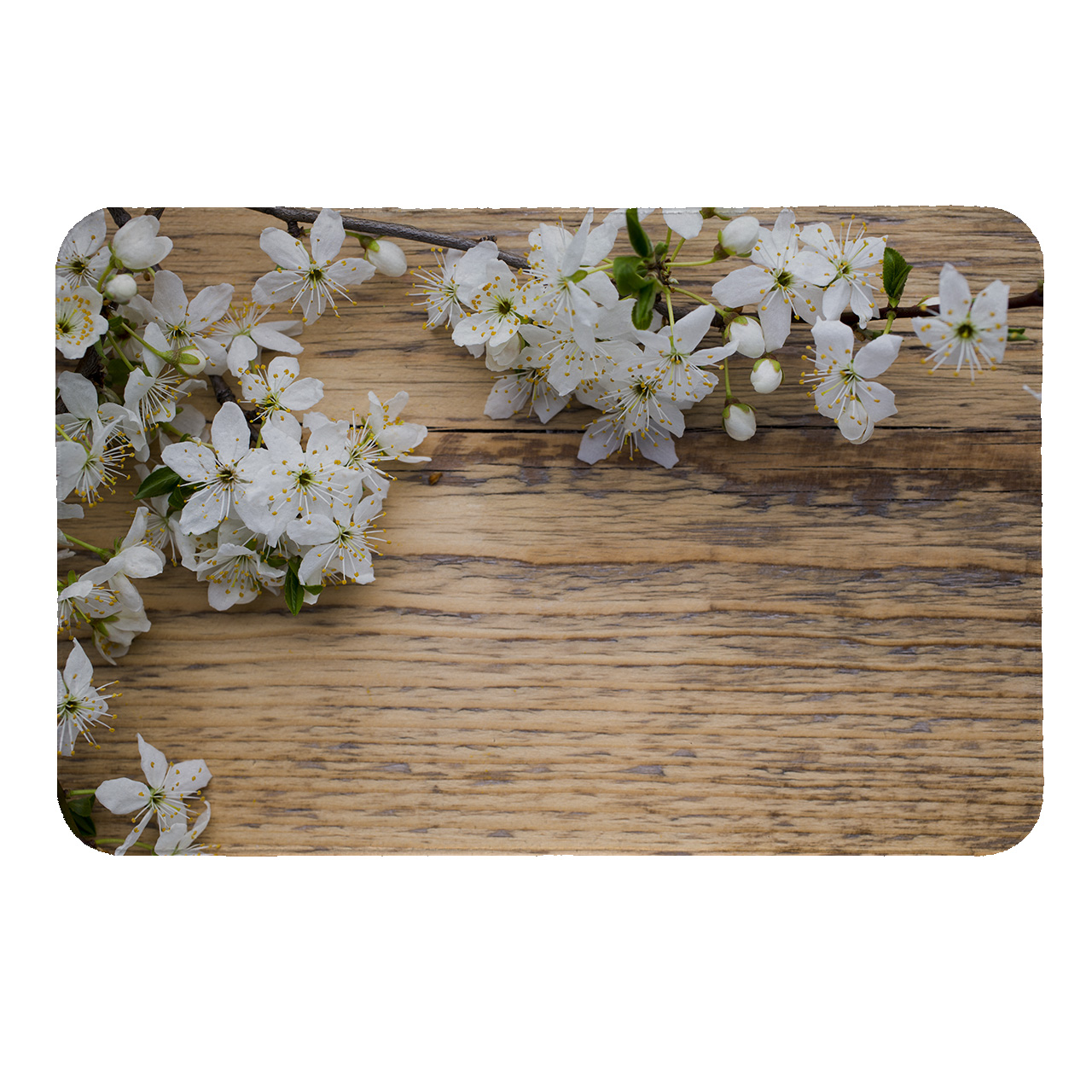 رطوبت گیر کنار سینک کد 5486