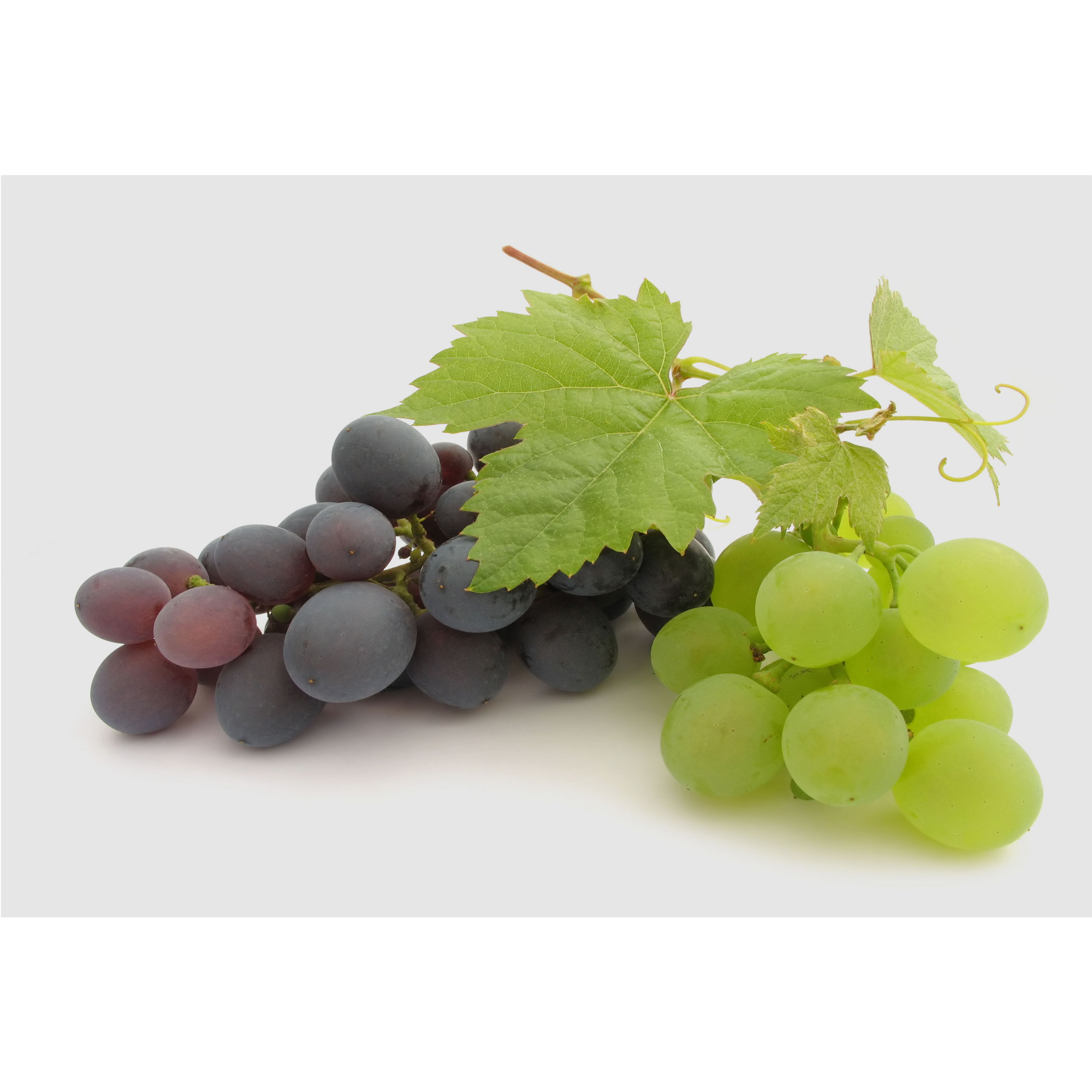 تابلو شاسی مدل میوه انگور T6985