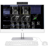 کامپیوتر همه کاره 23.8 اینچی اچ پی مدل EliteOne 800 G4 HealthCare Edition - B