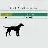 قلاده سگ مدل Mn016