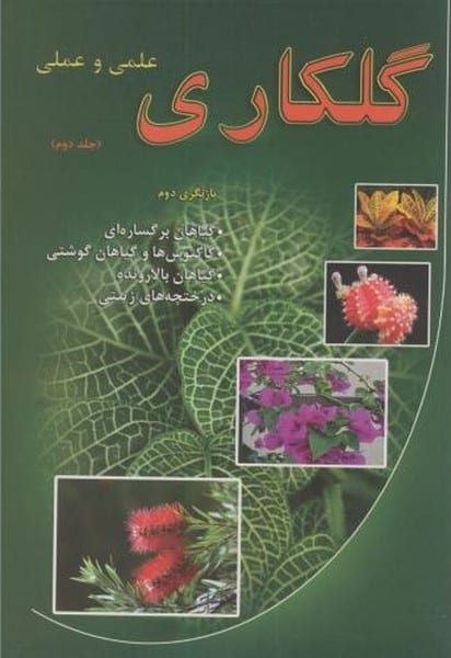 گلکاری علمی و عملی جلد دوم قهساره - کتابفروشی کوچه کتاب