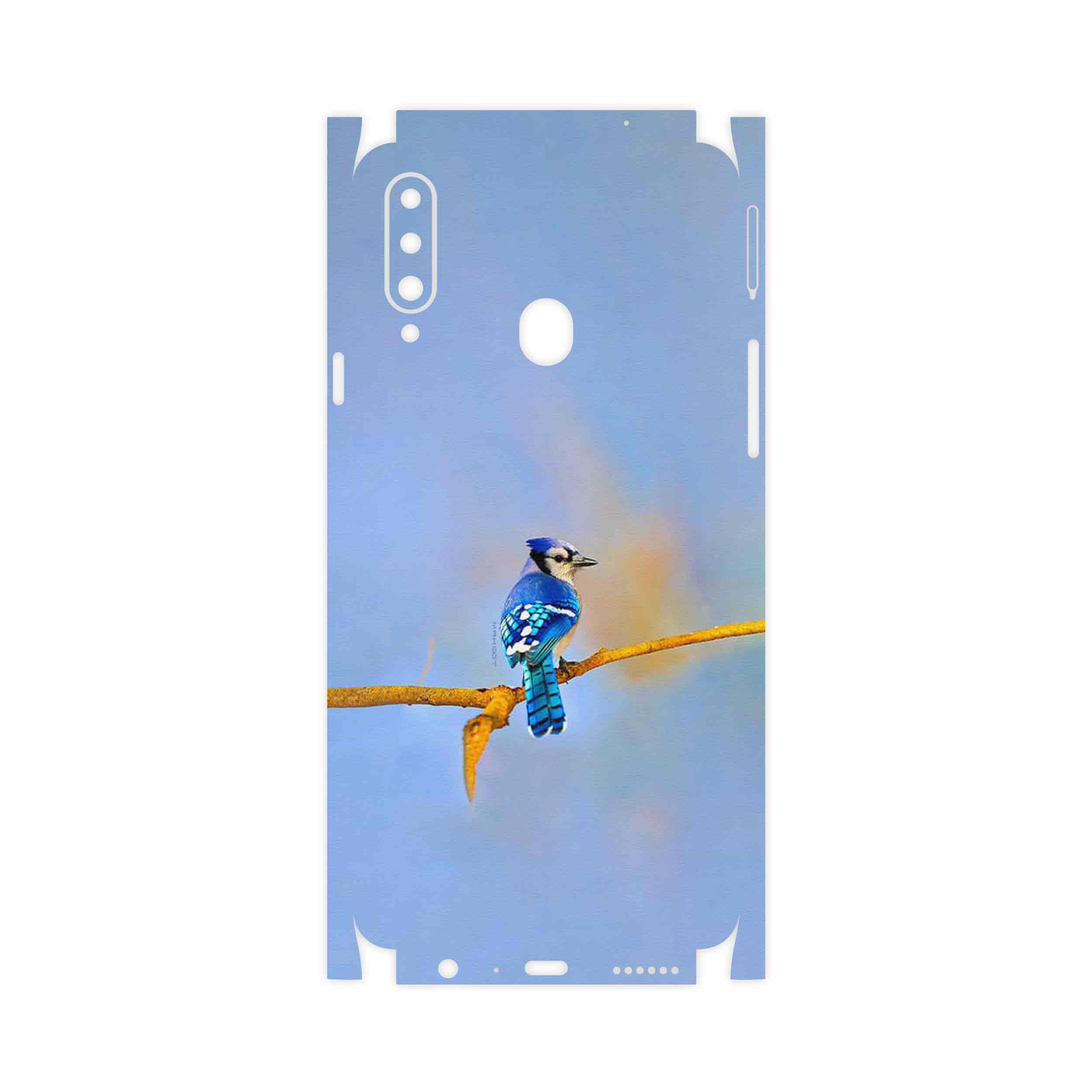 برچسب پوششی ماهوت مدل Cyanocitta cristata-FullSkin مناسب برای گوشی موبایل سامسونگ Galaxy A20s