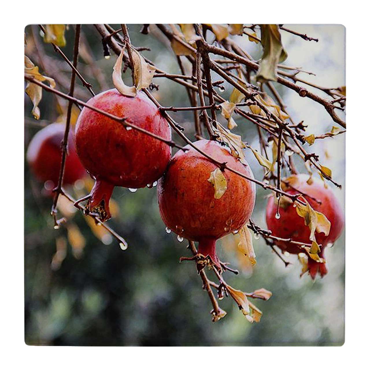 کاشی کارنیلا طرح شاخه انار کد wk3527