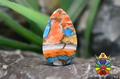 صدف خاردار ترکیبی