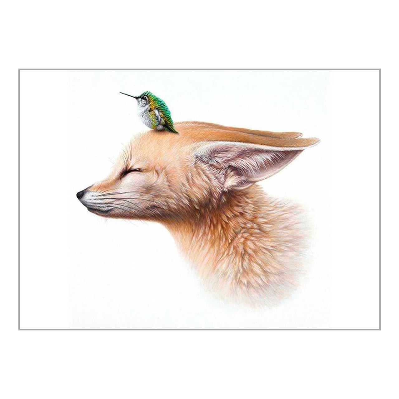 تابلو شاسی طرح روباه و پرنده Animal 0001