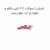 فیش ( سوکت ) 2 تایی دلکو و مهره ی اب دوو ریسر