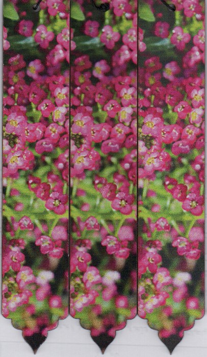 مجموعه نشانه کتاب (بوک مارک،کد N55)،(3عددی) - ناشربوک | خرید آنلاین کتاب