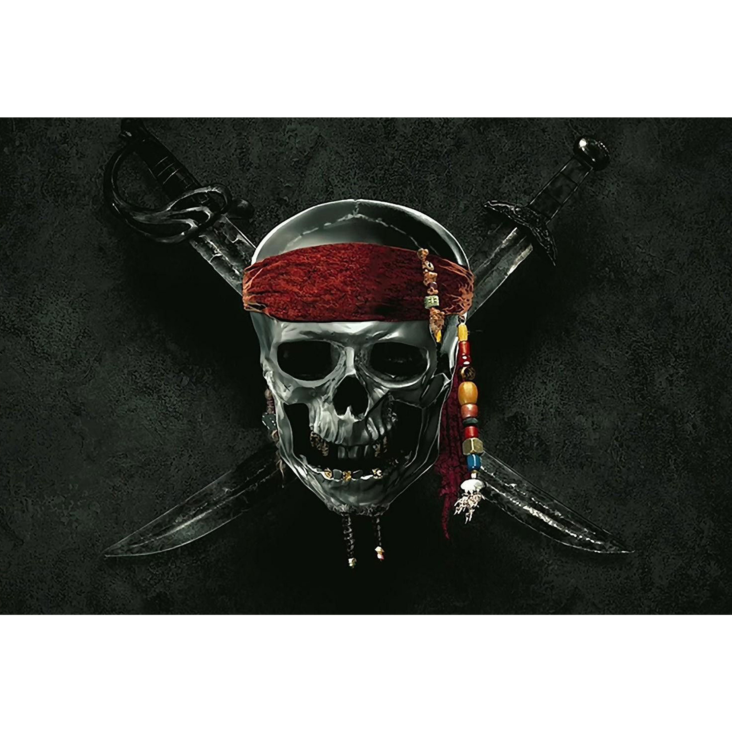 تابلو شاسی طرح جمجمه و اسکلت دزدان دریایی مدل T1340