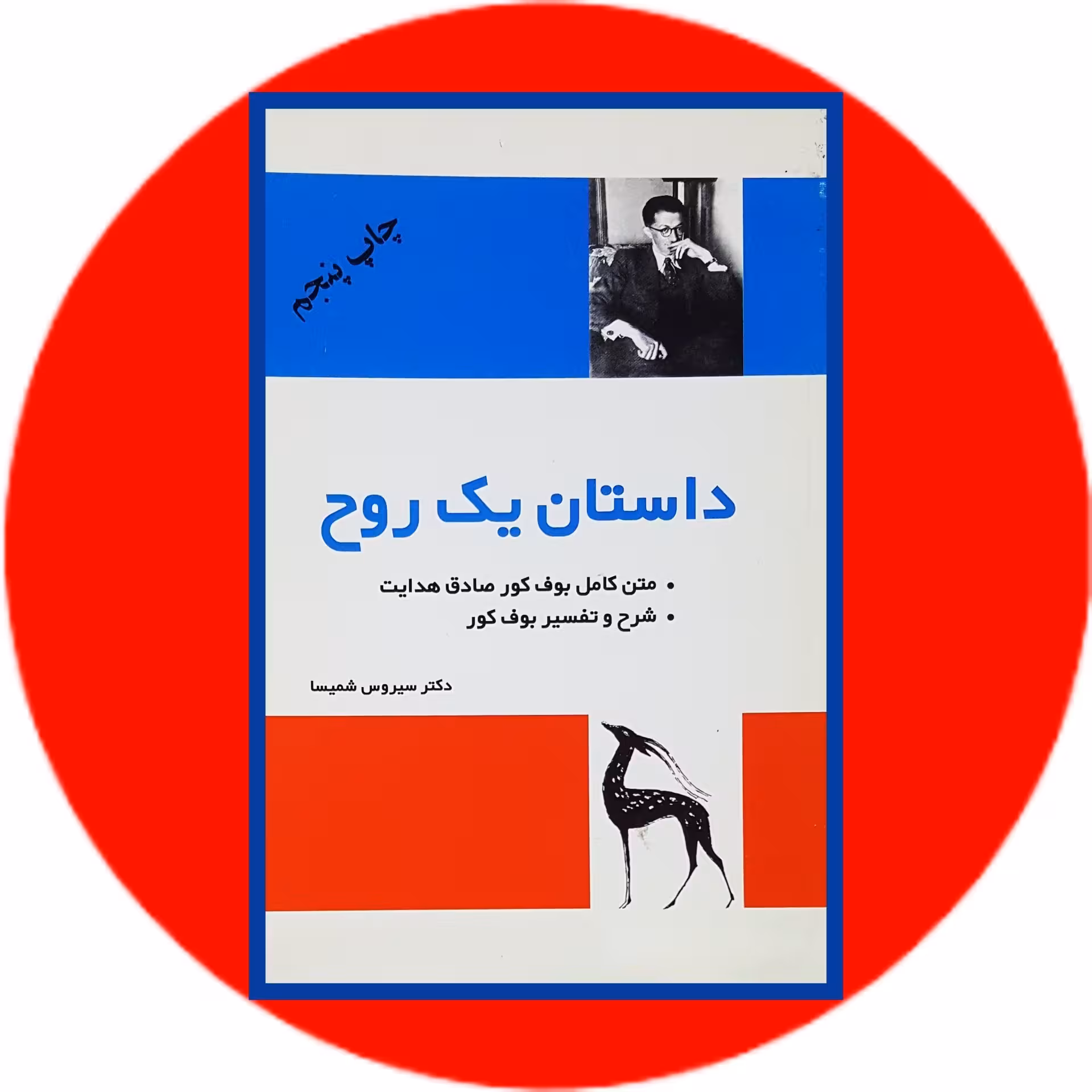 کتاب داستان یک روح - خرید با تخفیف چهل درصد از کتاب دایره قهوه ای -