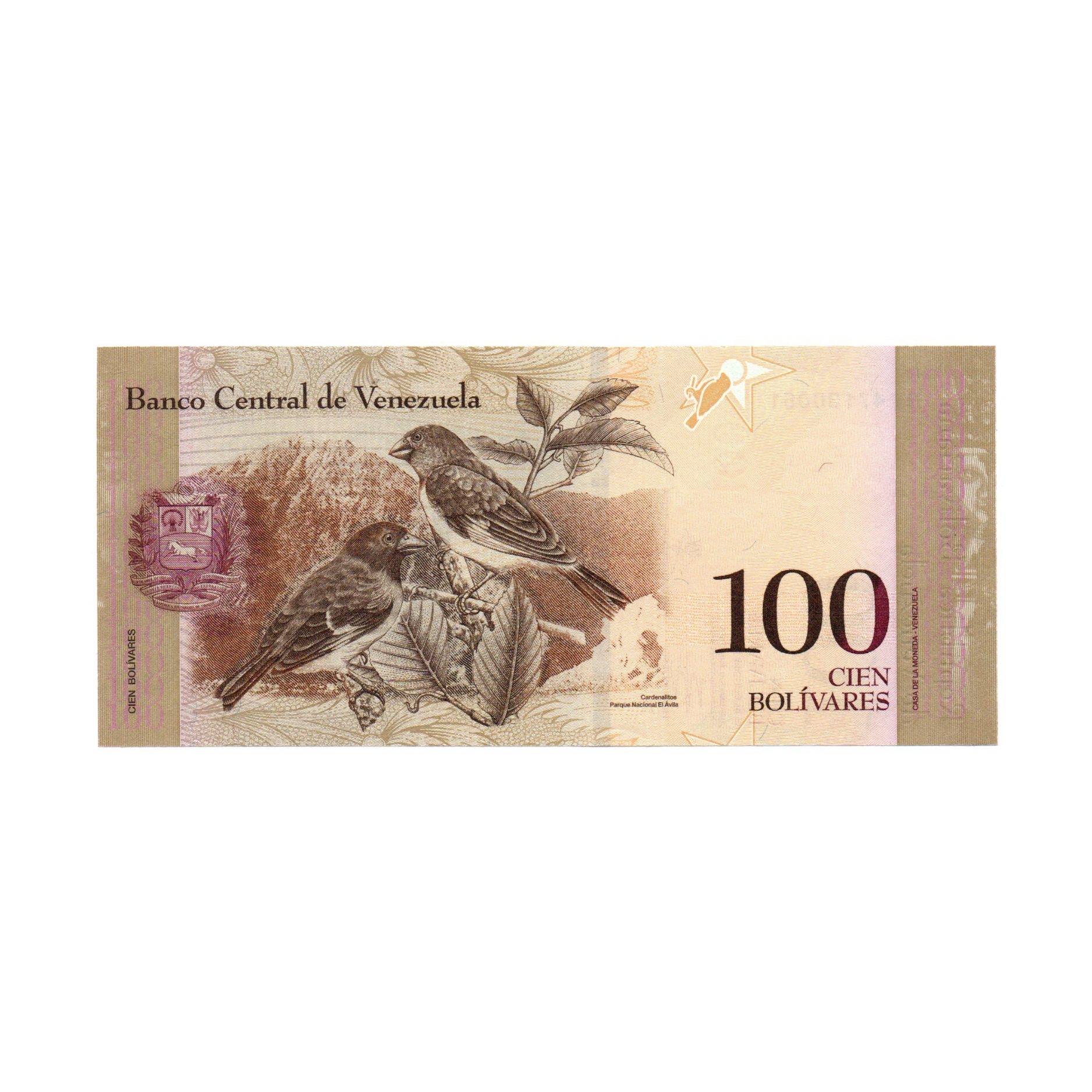 اسکناس تزئینی مدل کشور ونزوئلا 100 بولیوار