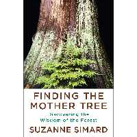 کتاب Finding the Mother Tree اثر Suzanne Simard انتشارات Knopf