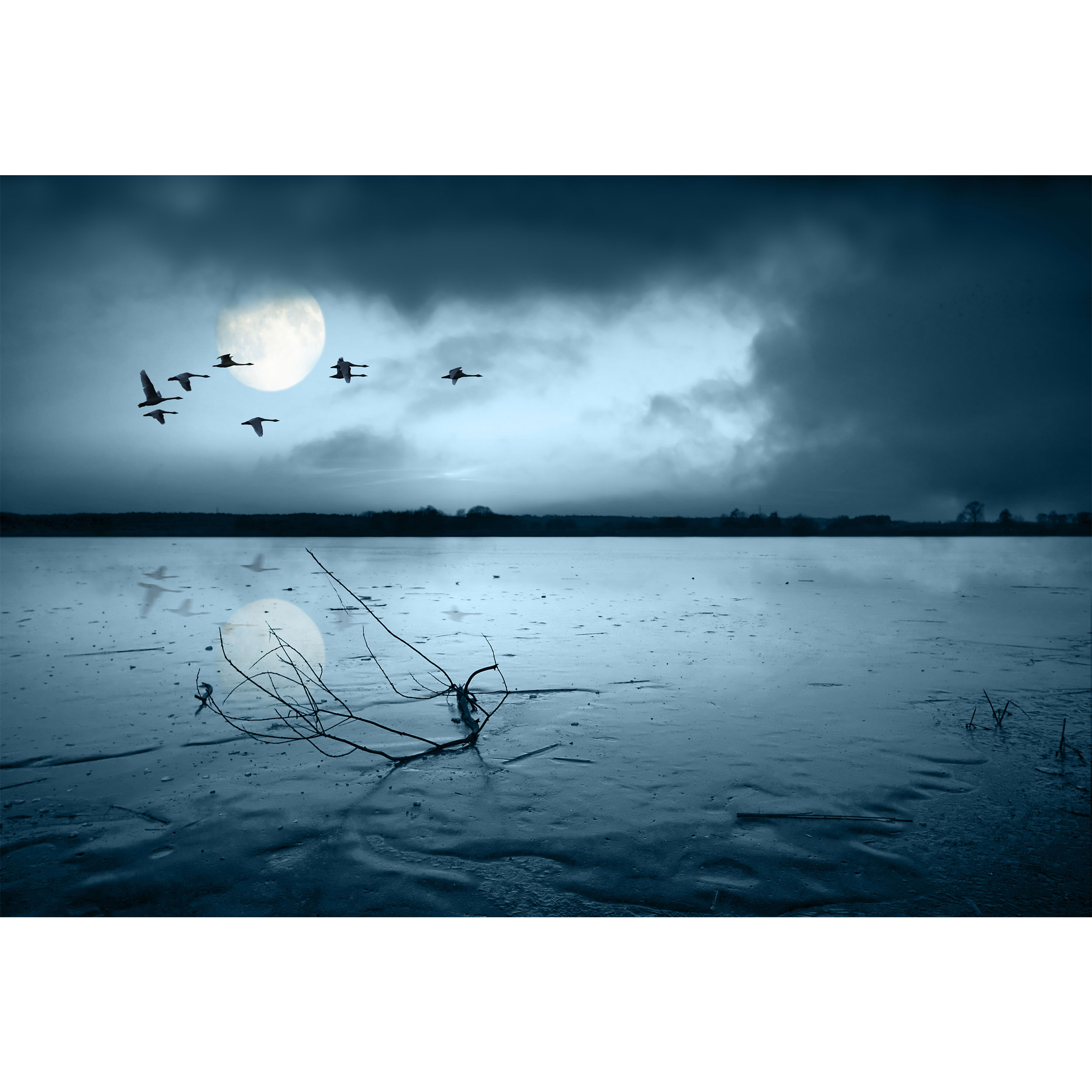 تابلو شاسی مدل دریا و پرنده و ماه T7132