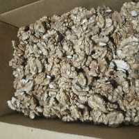 مغز گردو چرب1402