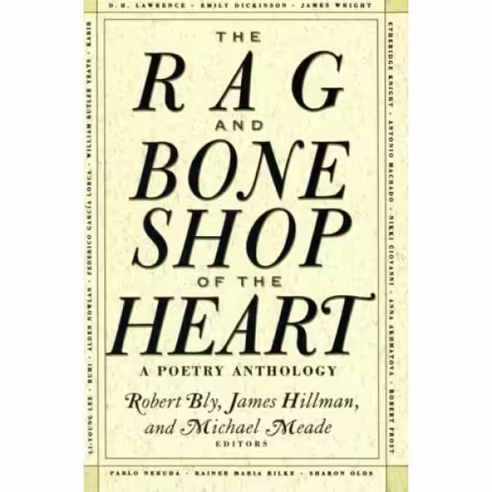 کتاب The Rag and Bone Shop of the Hearty اثر جمعی از نویسندگان انتشارات تازه ها