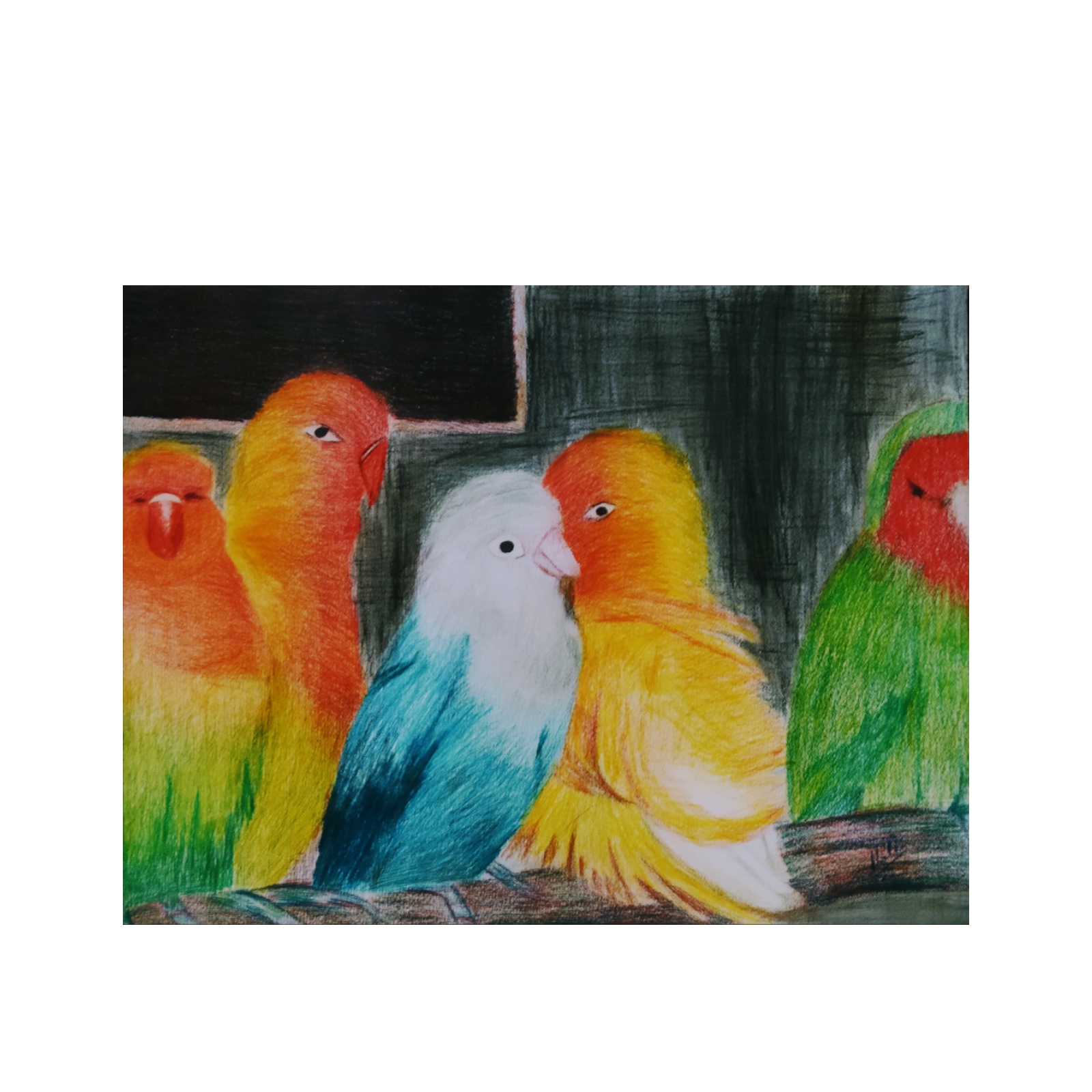 نقاشی مدادرنگی مدل اشیانه