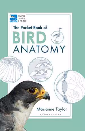 [EPUB] دانلود کتاب The Pocket Book Of Bird Anatomy, 2020
